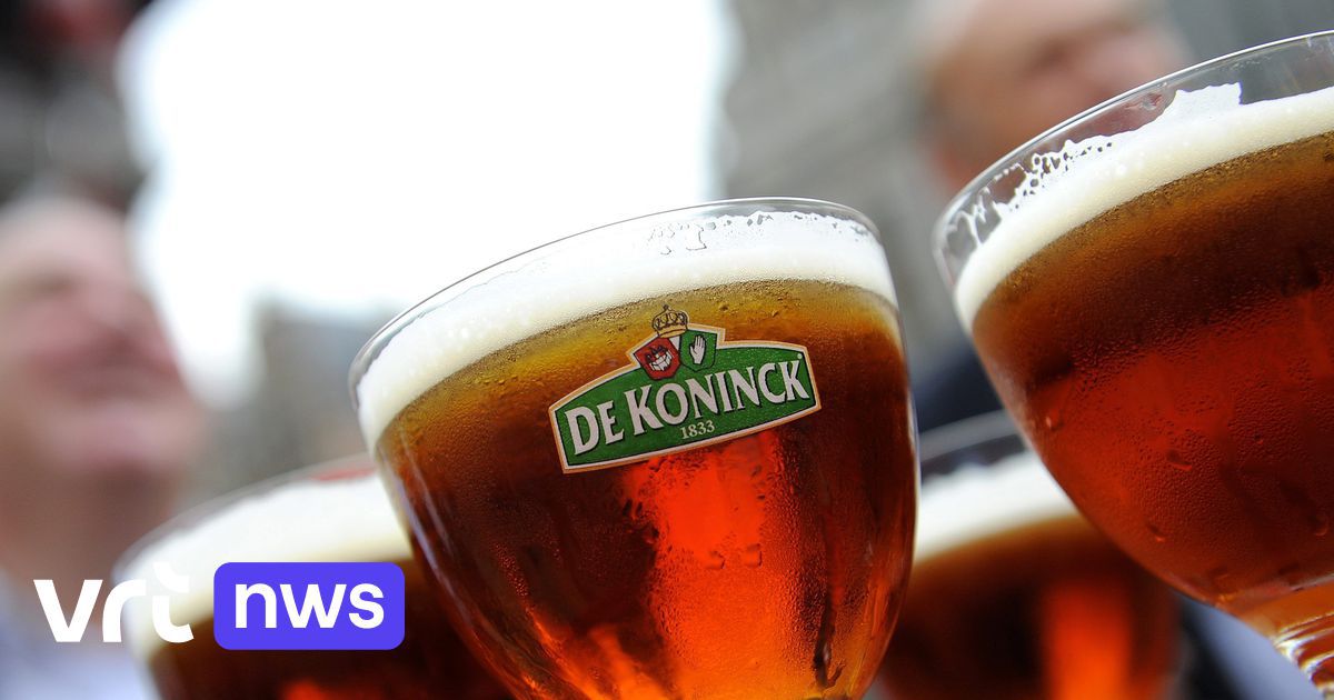 "Bollekesfeesten" et grands voiliers : Anvers a un week-end chargé à venir