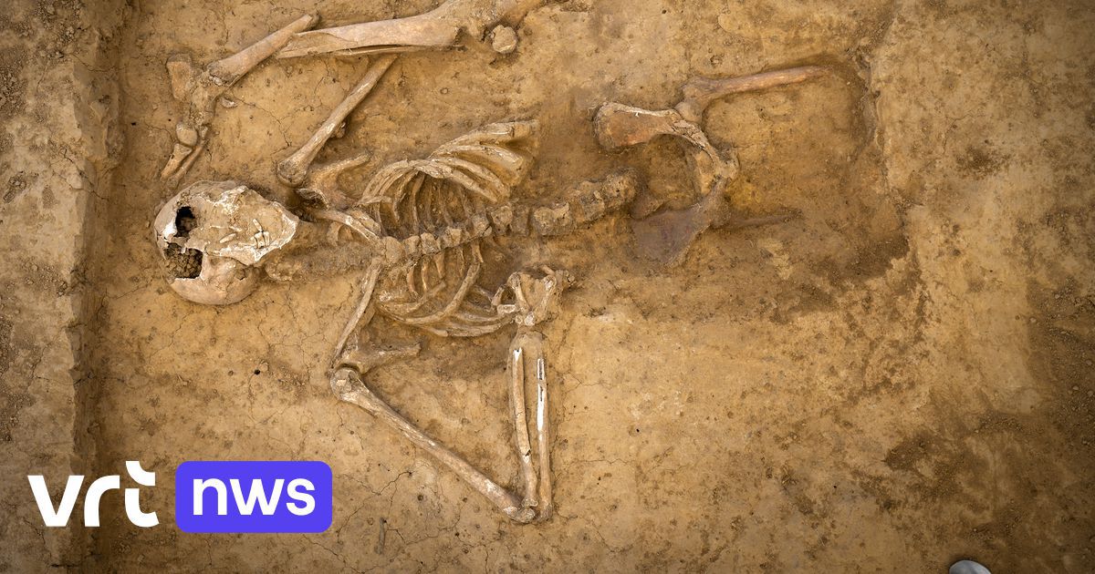 Superbe découverte à Waterloo, "une véritable révélation sur l'horreur de la bataille"