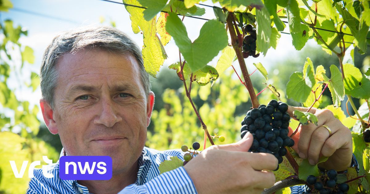 2022, un millésime pour les vins belges ?