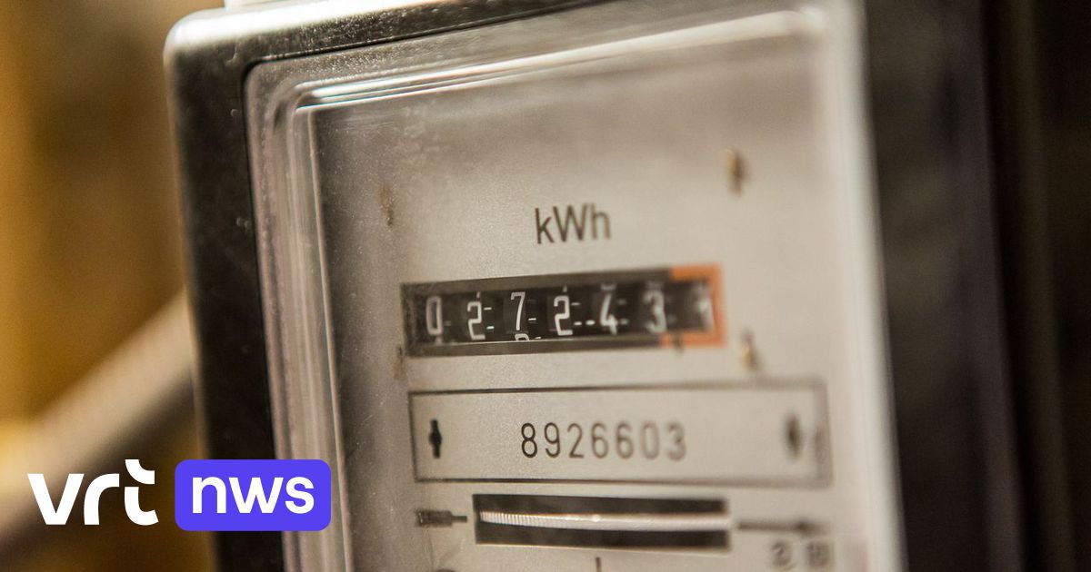 Crise de l'énergie : le chien de garde soutient les contrats au forfait et le « produit standard »