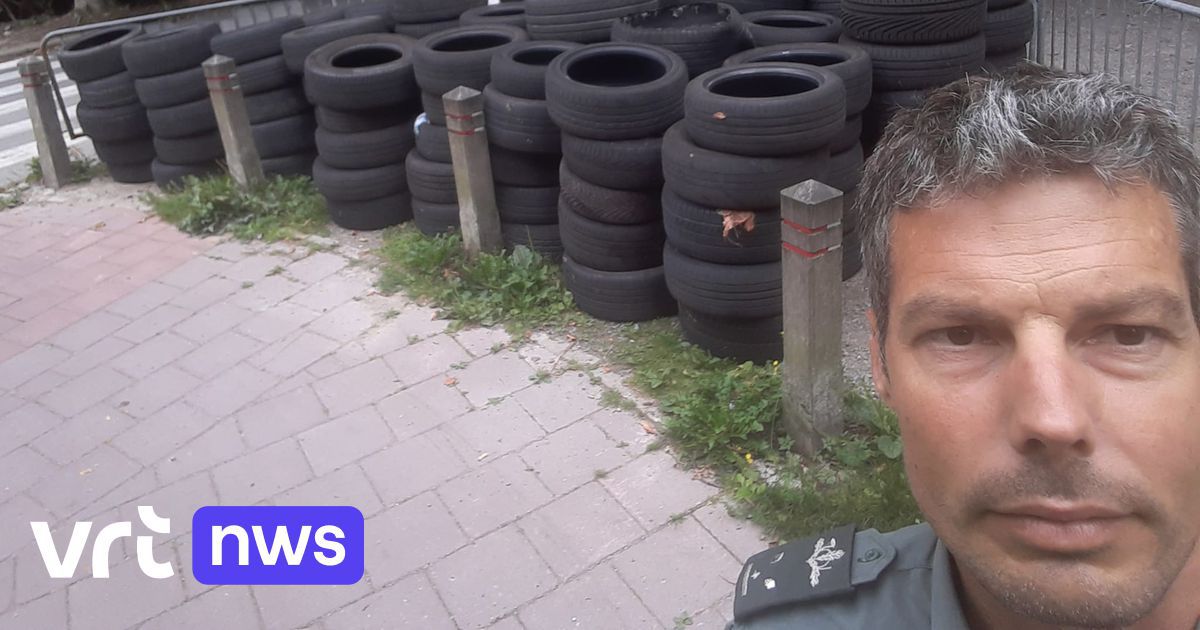 Les bennes basculantes ciblent la forêt de Soignes |  VRT NWS : actualités