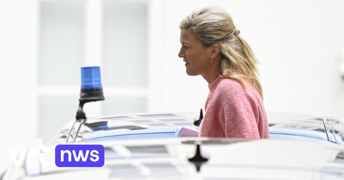 Ministre de l'Intérieur : "L'inspection nucléaire a confirmé que les travaux préparatoires au démantèlement du réacteur de Doel 3 peuvent être reportés"