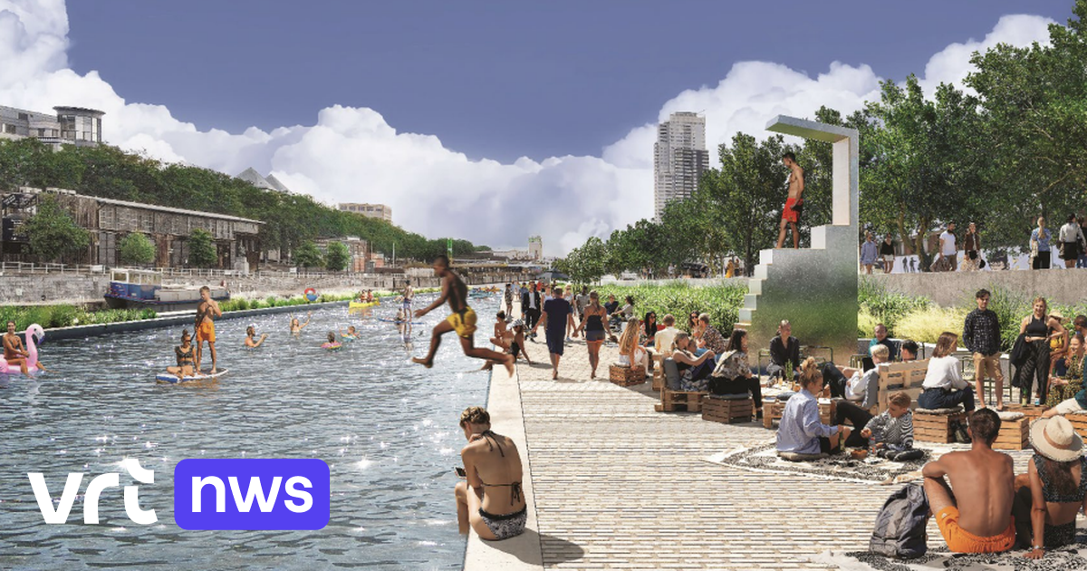 Plus de détails sur les plans de la piscine géante en plein air à Bruxelles : 355m de large, située à l'Akenkaai