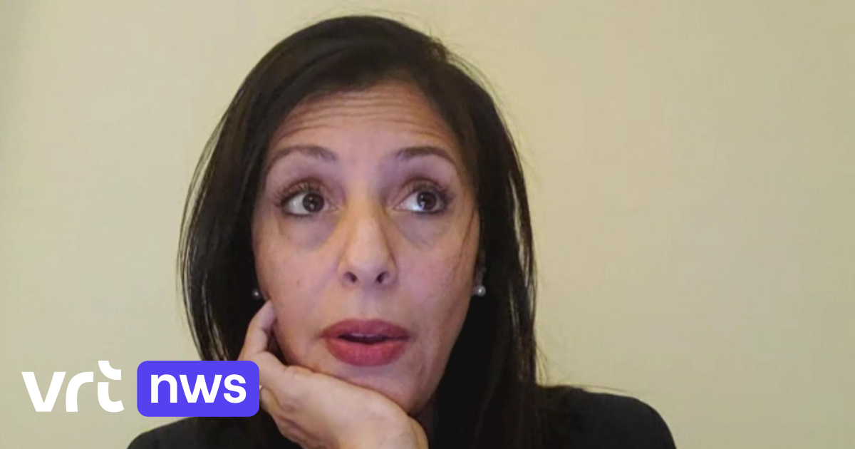 Le ministre belge de l'Environnement déclare que la COP27 n'a pas répondu à l'urgence du changement climatique