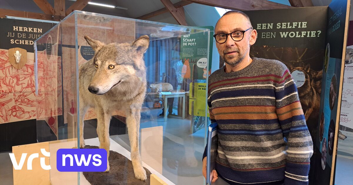 Farci "Roger" la pièce maîtresse de "Pop-Up Wolves Expo"
