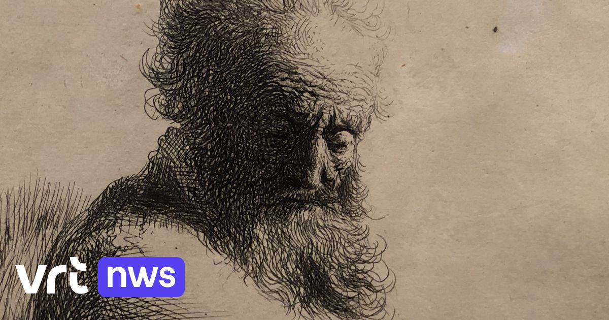Gravures de Rembrandt au Musée De Reede à Anvers