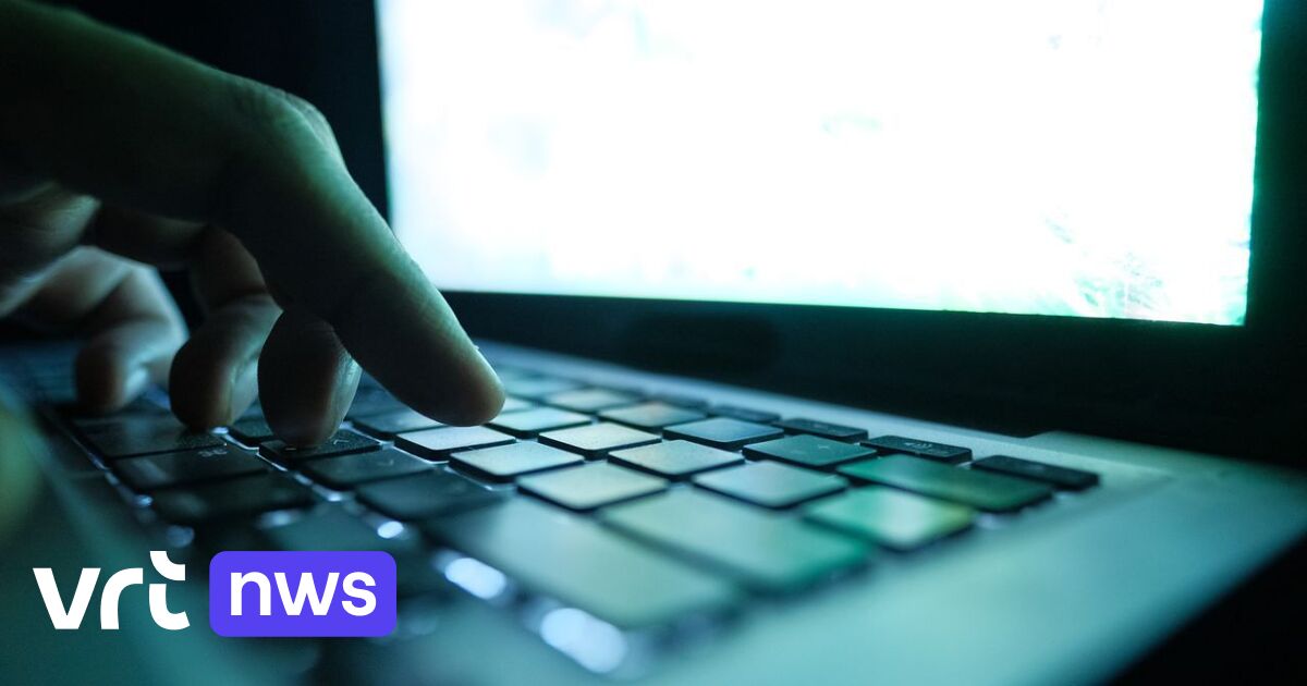 Des fraudeurs par hameçonnage ont volé 39,8 millions d'euros sur des comptes bancaires belges en 2022