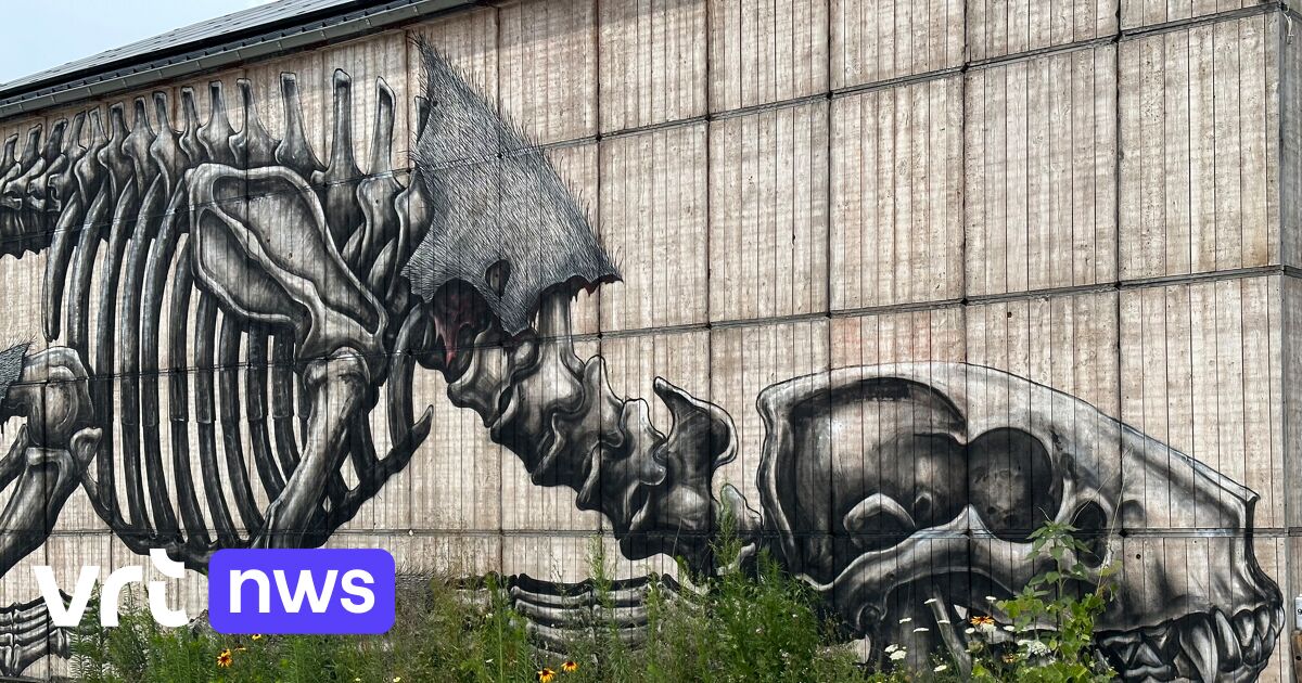 Le graffeur anonyme ROA crée une nouvelle œuvre à Alost