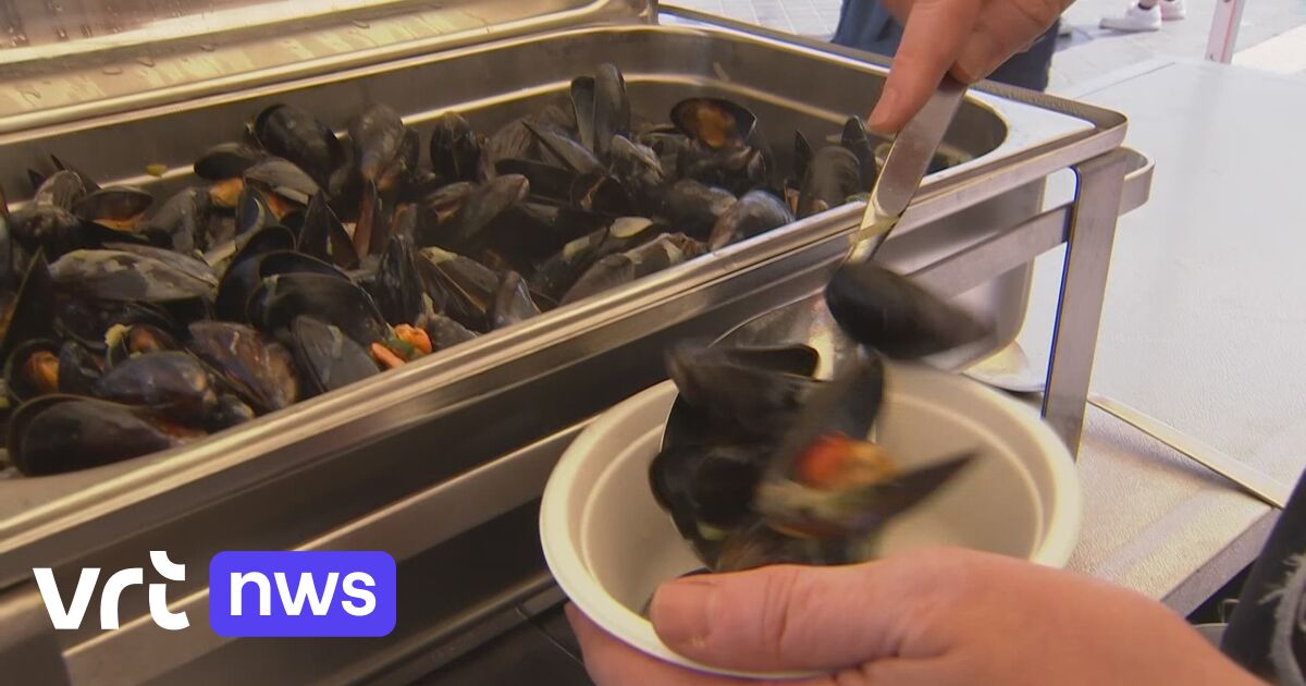 Les premières moules de la mer du Nord belge ont été récoltées : « Divers avantages »