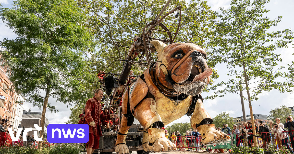 Les chiens géants attirent 760 000 spectateurs à Anvers