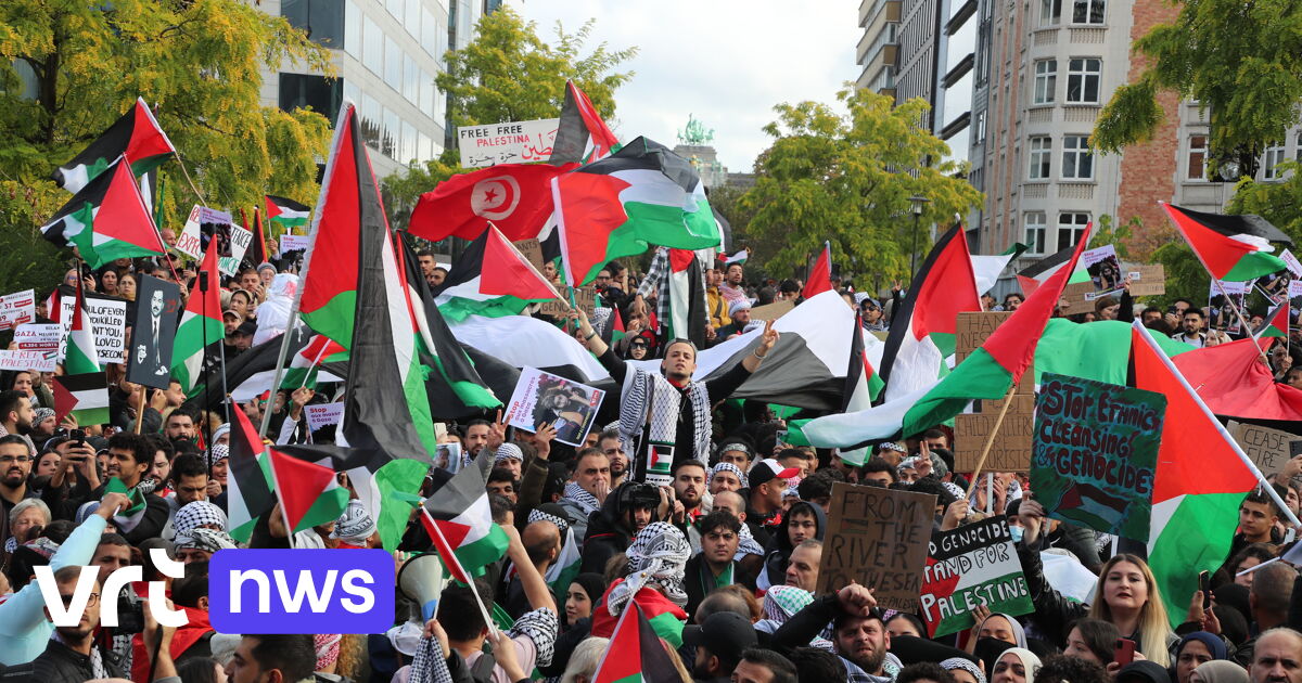 Des milliers de personnes participent à une manifestation pro-palestinienne à Bruxelles