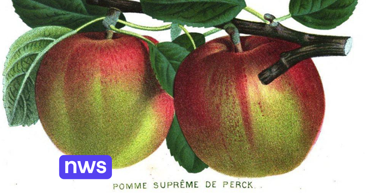 Des distributeurs automatiques de snacks sains dans trois stations du métro bruxellois