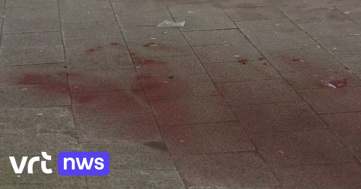 Plus de détails sur la fusillade à Bruxelles (VIDEO)