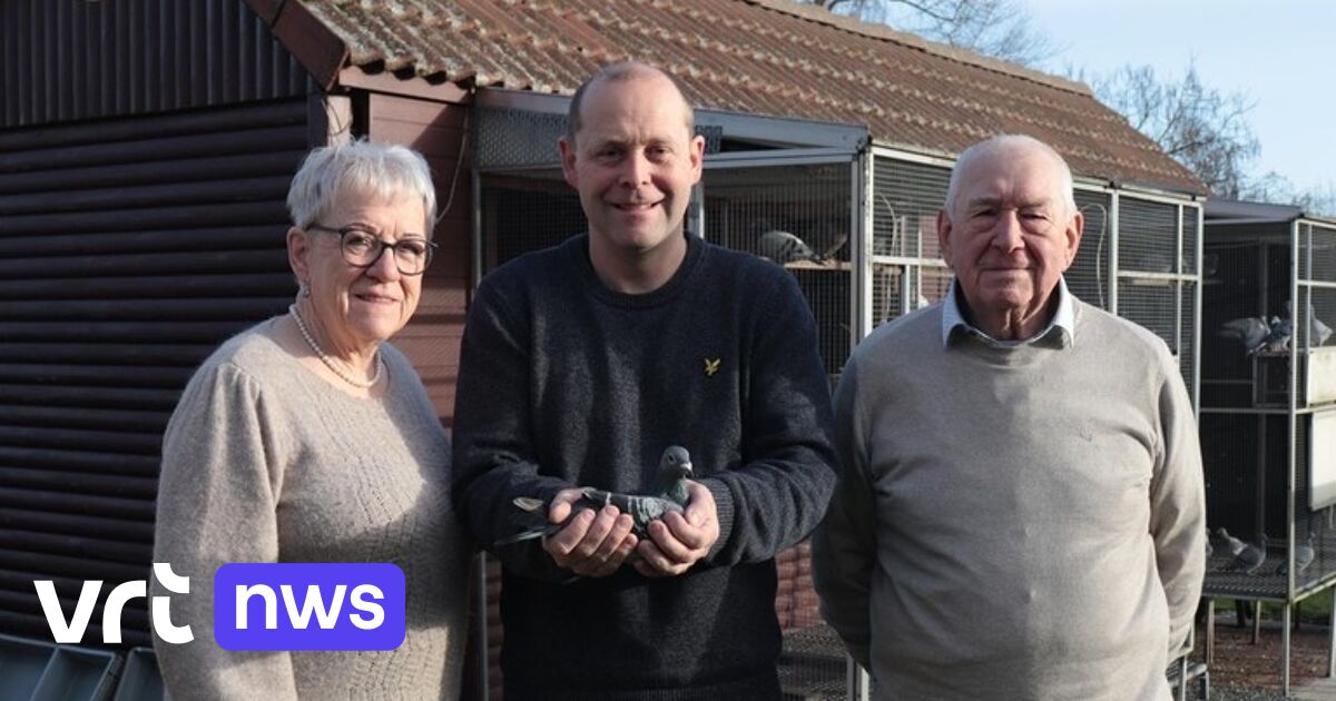 Rita de Ninove est « Meilleur Pigeon du Monde 2023 »