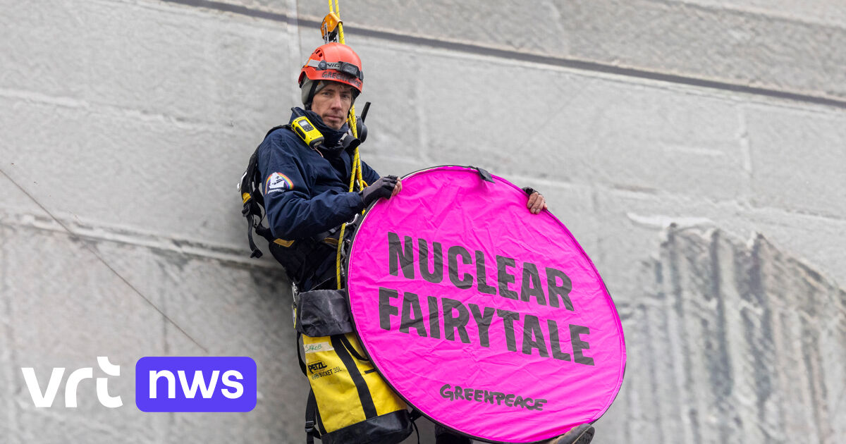 Sommet sur le nucléaire à Bruxelles : « L'énergie nucléaire est l'un des plus grands crimes climatiques », selon les critiques