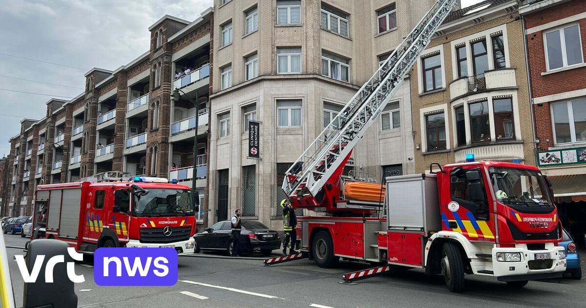 Violences contre les services de secours : les pompiers de Bruxelles veulent utiliser des influenceurs pour toucher certaines couches de la société