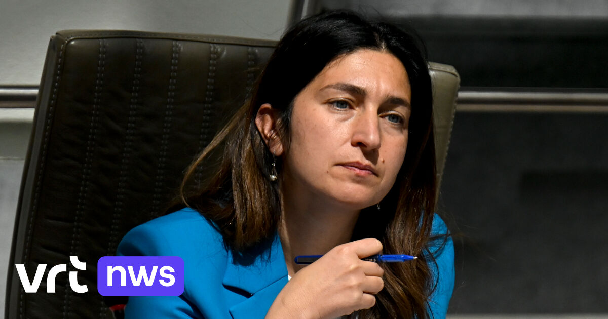 Le ministre flamand Zuhal Demir porte plainte après avoir reçu une photo de LinkedIn