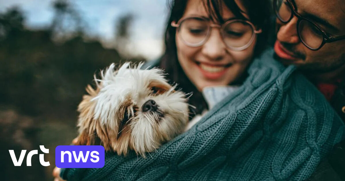 Nombre record d'animaux saisis pour les protéger de la maltraitance animale