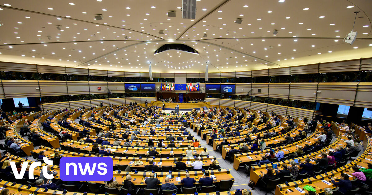 Les étrangers de l’UE ont-ils voté pour les parlements belge et flamand ?