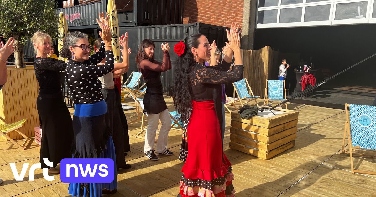 Du flamenco au hip-hop, rendez-vous cet été à « Antwerp Dances »