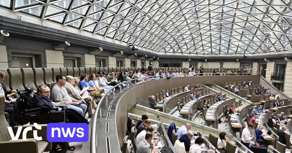 Le Parlement flamand va-t-il déclarer les élections valides ou ordonner un nouveau vote à Bruxelles ?
