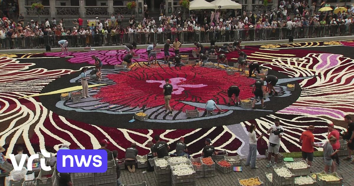Tapis de fleurs sur la Grand-Place conçu par un artiste de rue cette année