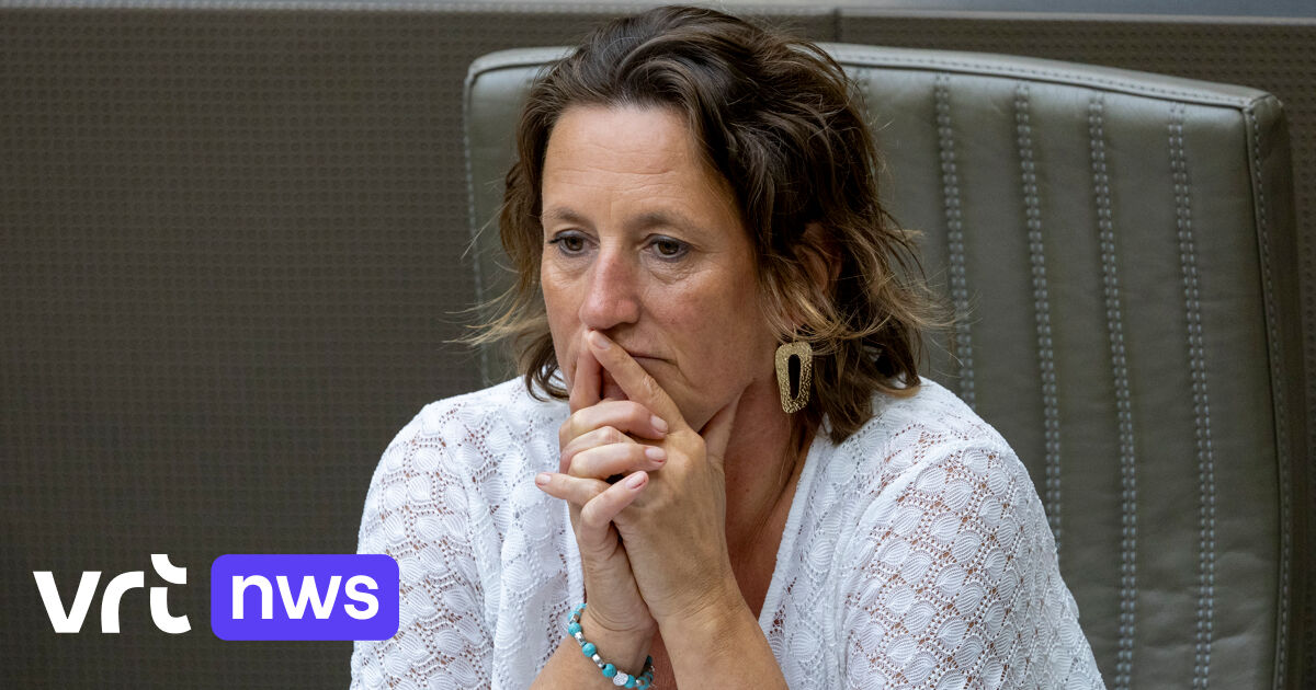 "Pas d'argent pour les cours de karaté à Bruxelles", déclare l'échevine d'extrême droite Ninove