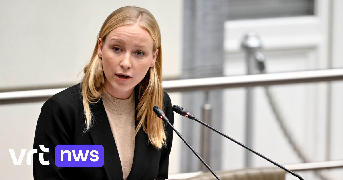 COP29 : la ministre flamande du Climat estime que la Flandre devrait être plus ambitieuse en matière climatique