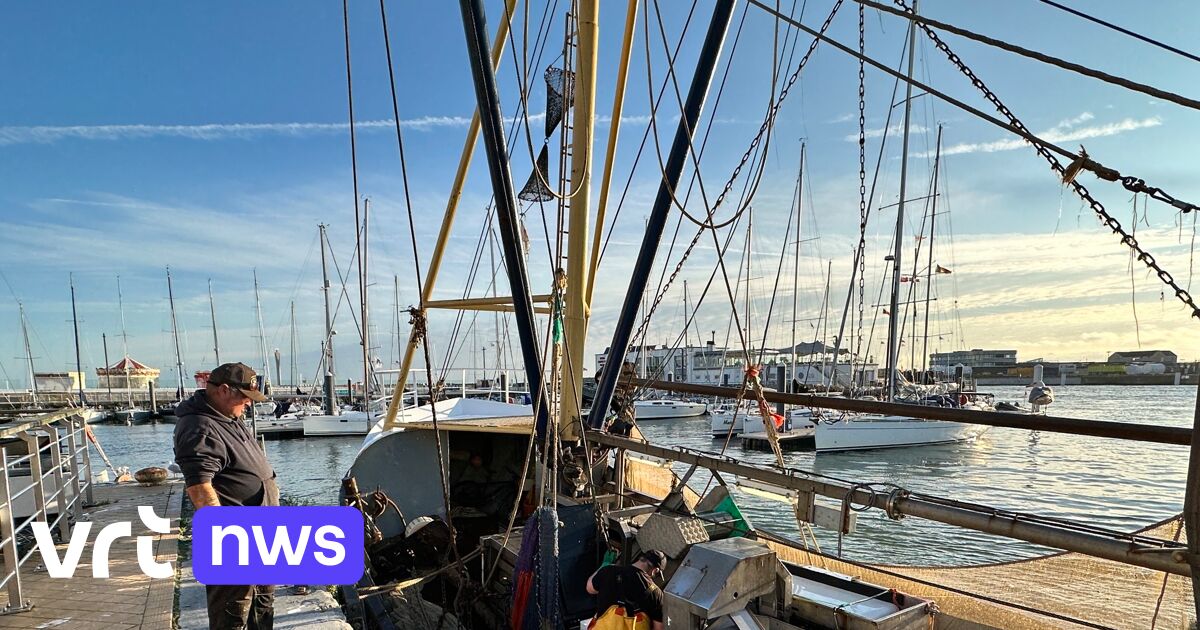 La Flandre demande à l'UE de mettre à jour les quotas de pêche