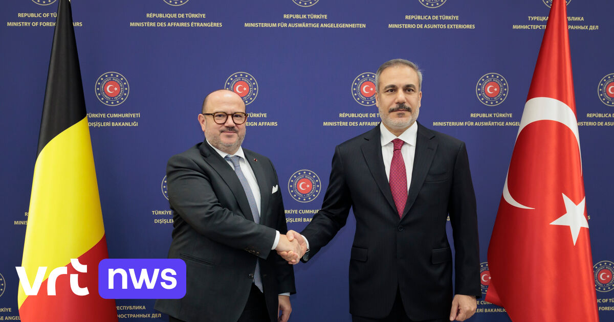 Le prochain gouvernement fédéral devra décider du rapatriement des djihadistes ayant combattu en Syrie, déclare le ministre belge des Affaires étrangères