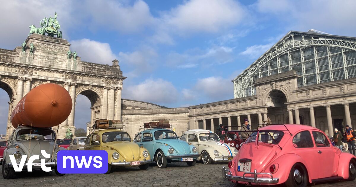 Plus de 300 coléoptères VW participent au 16e défilé des insectes d'amour