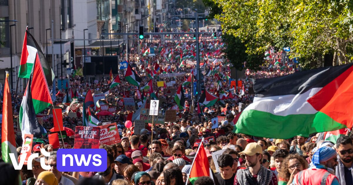 Des dizaines de milliers de personnes participent à la démo de Bruxelles Gaza