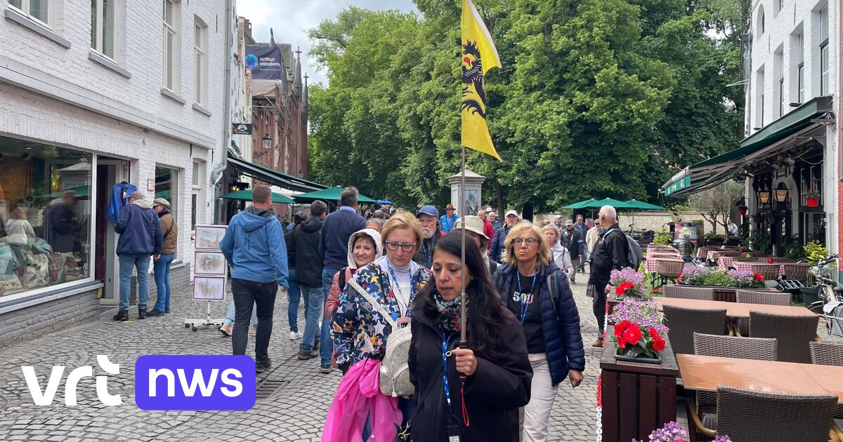 Taxe de séjour de 5 € pour les visiteurs de croisières et de groupes touristiques à Bruges
