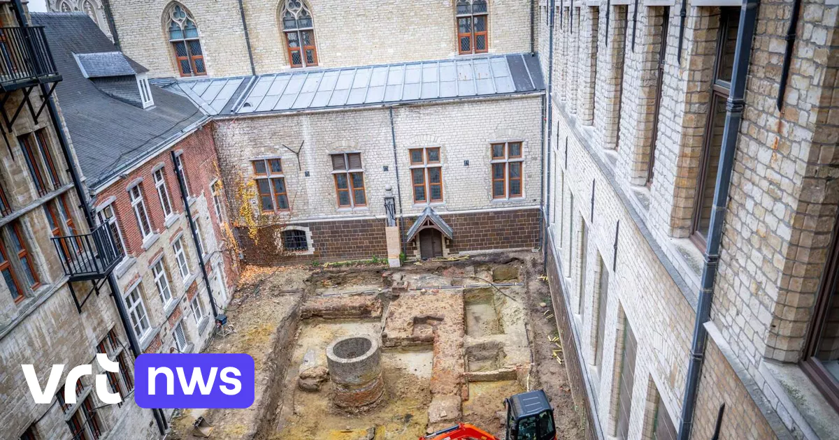 Des archéologues découvrent des restes d'une demeure en pierre du XIIe ou XIIIe siècle lors de fouilles à la mairie de Louvain