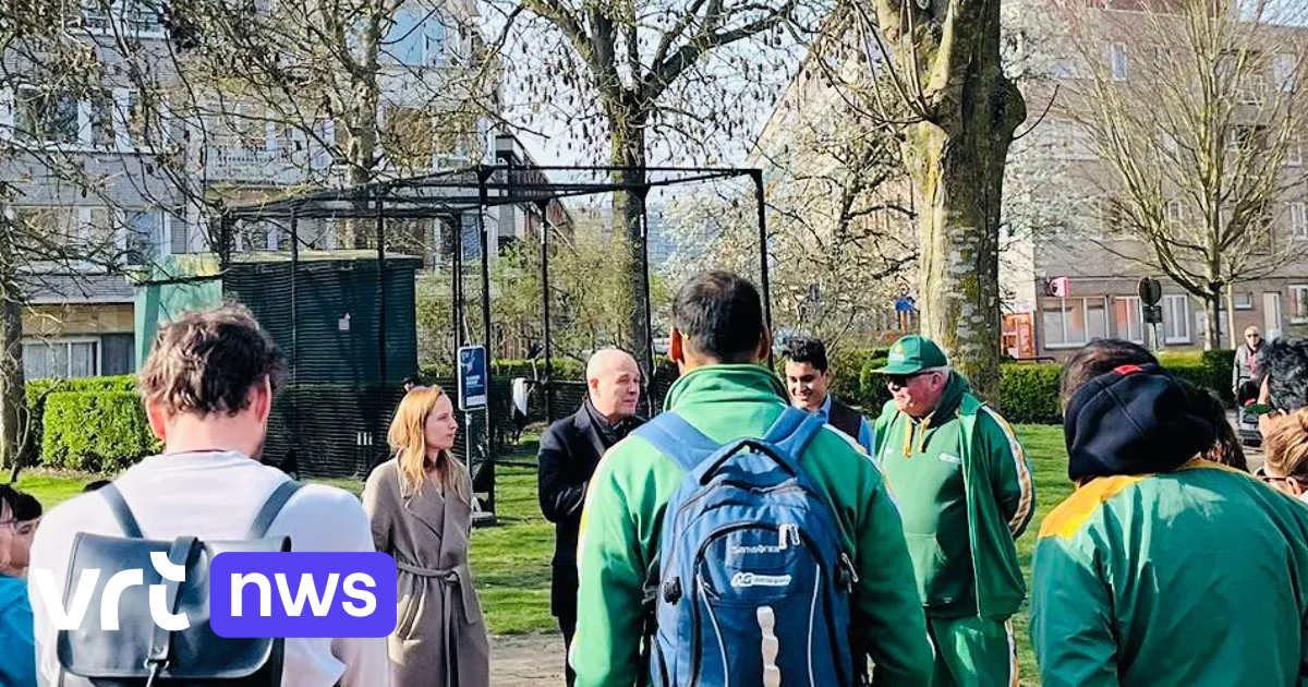 Cage de frappeurs de cricket pour le sport flamand qui a conquis le monde