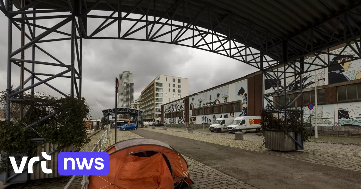 La Belgique doit verser des dommages et intérêts à quatre demandeurs d'asile, déclare la Cour européenne des droits de l'homme