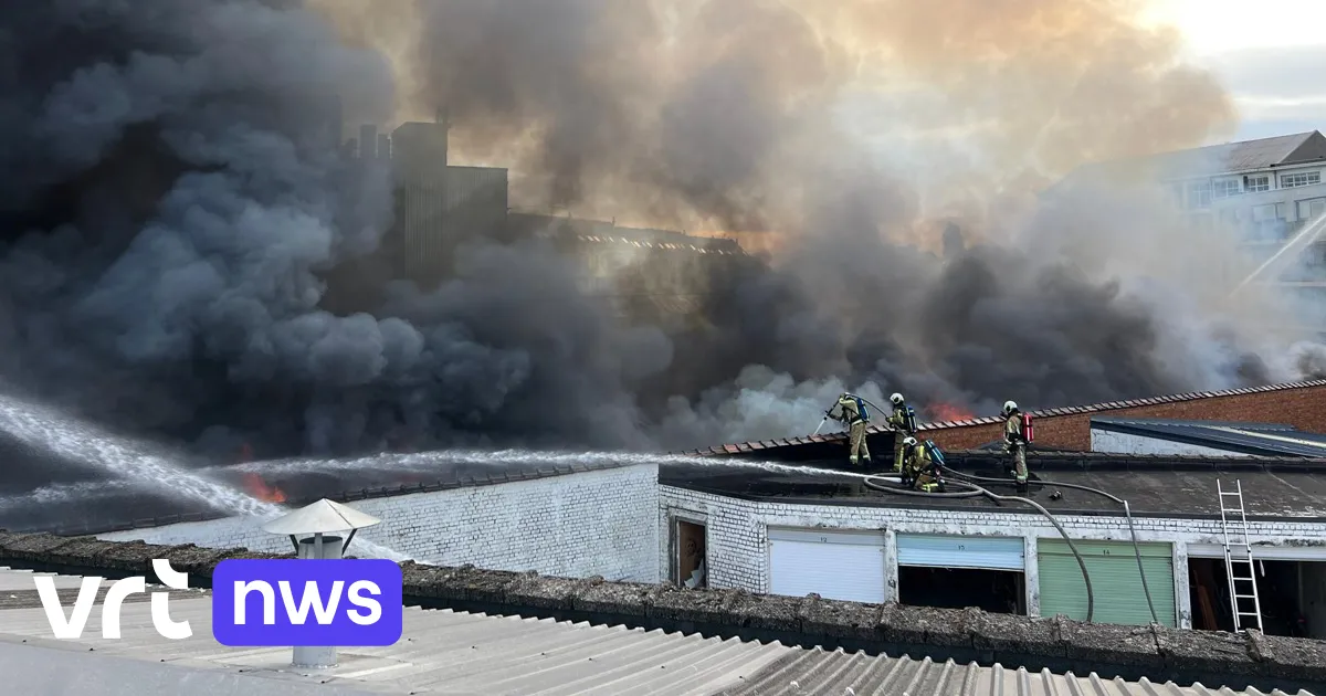 Qui sont les victimes de l'incendie de l'entrepôt d'Anderlecht ?