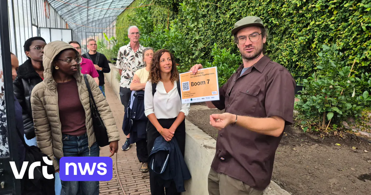 Chasse aux levures sauvages sur les arbres fruitiers à Bruxelles : « Les levures nous permettent de brasser la bière bruxelloise »