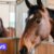 La police arrête trois suspects qui vendaient des chevaux de sport à des abattoirs
