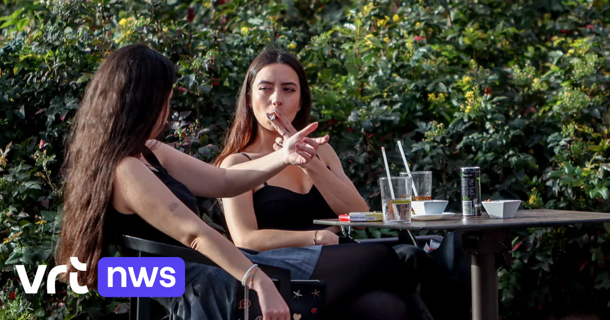Interdiction de fumer sur les terrasses extérieures reportée : le Conseil d'État s'y oppose