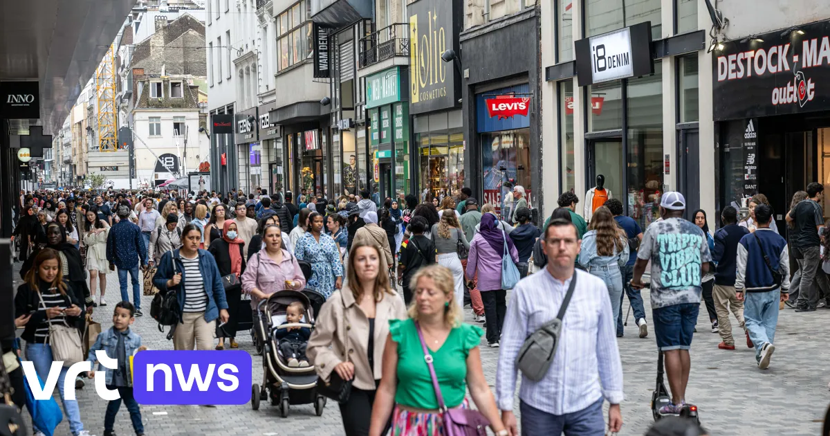 La population bruxelloise ne croît plus, près de 37% sont étrangers